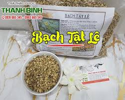 Bạch tật lê giúp tăng cường sinh lý và cải thiện tốt cho thị lực