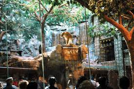 Mgm Grand The Complete Guide Mgm Grand Las Vegas Las Vegas Vacation Las Vegas Resorts