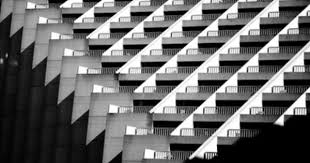 Black And White Striped Spider Texas I Am Not Sure What This Is But It Sees To Be A Shot Of The Balconies On Some Huge Apartment Architecture Design Architecture Details Architectural Inspiration