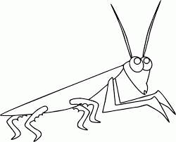 Ide gambar untuk belajar menggambar anak tk juga melukis. 36 Sketsa Gambar Hewan Yang Mudah Ditiru Lengkap