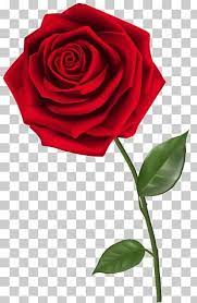 Pin On Red