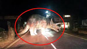 Check spelling or type a new query. 10 Dinosaurs Caught On Camera In Real Life Youtube