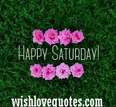 Hilarious funny saturday memes to make brighten your day. Funny Saturday Quotes And Message For The Weekend