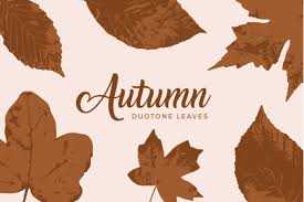 All thanksgiving clip art are png format and transparent background. Thanksgiving Leaf Svg Freebies Craft House Svg