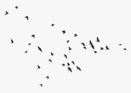 Yukle Bird Outline Png Hd Transparent Bird Outline Bird Flock Silhouette Png Png Download Kindpng Bird flight bird flight silhouette, bird watercolor png. yukle bird outline png hd transparent