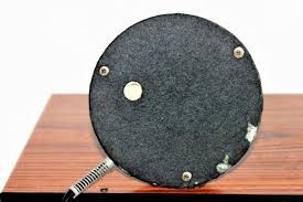 Image result for Teaberry Stalker Two