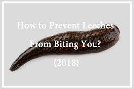 Leeches - How To Prevent Leeches From Biting You? (2018) - Pest Wiki