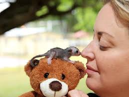 The best photos of 2015