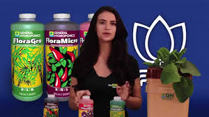 What are the nutrients in floramicro essential oils? The Grow Show General Hydroponics Products Youtube