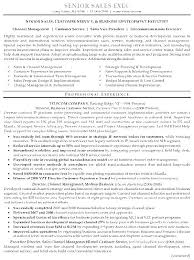 best resume writing services chicago