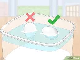 A fresh egg will sit horizontally on the bottom of the jar. 3 Ways To Tell If Duck Eggs Are Dead Or Alive Wikihow