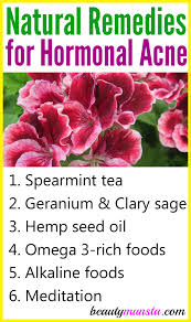 Maybe you would like to learn more about one of these? 6 Natural Remedies For Hormonal Acne Treatment At Home Beautymunsta Free Natural Beauty Hacks And More