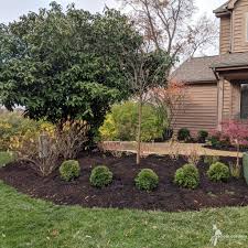 Image result for Hetaeria occidentalis