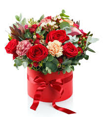 Maybe you would like to learn more about one of these? Gladsome Flower Delivery Melbourne