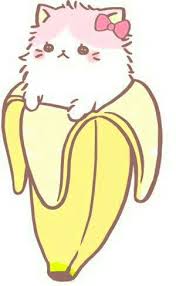 ѧṅȏṭһyeya ɞѧṅѧṅѧ ċѧṭ Kawaii Cat Cute Kawaii Drawings Kawaii Anime