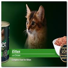 Reflex Kitten Food With Chicken Kitten Food Kitten Chicken