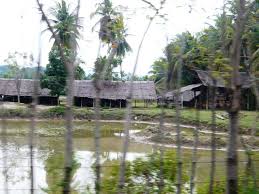 Sketsa pemandangan desa, gunung, sawah, pantai yang mudah di gambar. Pemandangan Kampung Aceh Rumah Kampung She Is Nonong Flickr