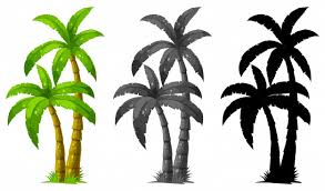 We did not find results for: Palm Tree Images Free Vectors Stock Photos Psd