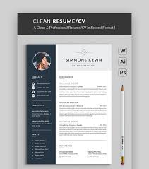 In this cv format guide we'll show you exactly how to choose which cv format is best for you. Modern Resume Templates W Clean Elegant Cv Designs 2021