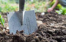 Check spelling or type a new query. Bbc Gardening Gardening Guides Techniques Digging Your Garden