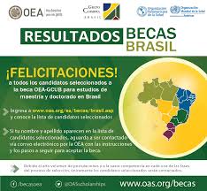 La selección de fútbol de paraguay es el equipo representativo del país en las competiciones oficiales de dicho deporte. Selected Candidates Oas Scholarships Becas Oea Facebook