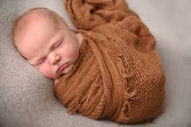 Little Fawn Photography