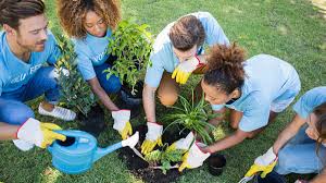 نتیجه جستجوی لغت [volunteering] در گوگل