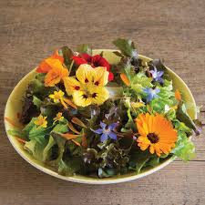 Maybe you would like to learn more about one of these? Plant Of The Month Edible Flowers West Hawaii Today