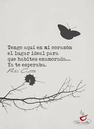 Petercastillo Poetry Poesia Amor Frases Escritos Desamor Palabras De Inspiracion Pensamientos Y Reflexiones Frases