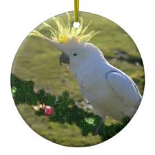 Birds With Yellow Feathers On Head Christmas Cockatoo Bird In Australia Ceramic Ornament Zazzle Com Cockatoo Birds Of Australia Birds