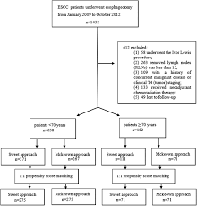 /mək ˈow ən/ or mcowen. Https Journals Sagepub Com Doi Pdf 10 1177 1073274820904700