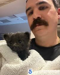 Firefighters from Station 79 in Coachella were “feline the heat” when they  were called