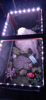 Alternatively, it could be used as a vivarium or just a luxurious coffee table. Terrarium Coffee Table Album On Imgur