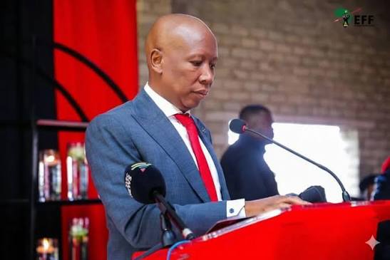 Newly elected President of South Africa Julius Malema 🇿🇦 2029 election  #voteeff2026 #voteeff2029