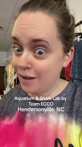 #hendersonvillenc #charollette #teameccoaquariumandsharklab #teamecco  #pregnantstingray #charolettestingray