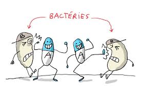 La bronchite aiguë et l'angine sont deux infections courantes à l'origine d'une forte consommation d'antibiotiques : Ca Sert A Quoi Les Antibiotiques 1jour1actu Com L Actualite A Hauteur D Enfants