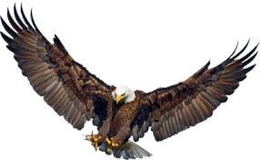 Bird With Wings Spread Images Pin On Tattoos Griffins And Flying Things