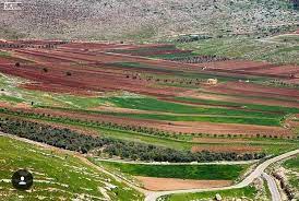 من سهول مارون الراس outdoor farmland vineyard
