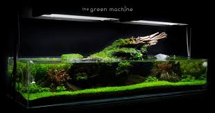 A typical aquascape design starts with first placing a layer of substrate in the aquarium and then adding rocks and driftwood. Aqua Design Amano Ada Nature Aquarium Goods