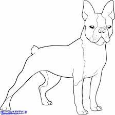 Color in this picture of an boston terrier and others with our library of online coloring pages. Boston Terrier Coloring Page Petsidi