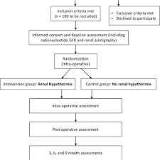 Study Flow Chart Gfr Glomerular Filtration Rate