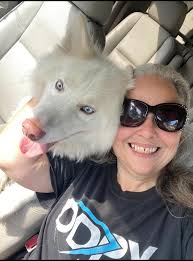 Fun times with Jolie, Juliette, Minnie, Walter, Gertie and of course,  Paddignton and Delilah! So blessed to hang out with the best pups and  kitties around! A special thanks to their wonderful