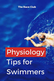 Physiology For Swimmers Muscle Composition Swimmer Physiology Muscle