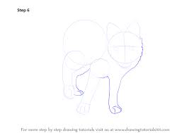 For the first few steps, don't press down too hard with your pencil. Learn How To Draw A Arctic Fox Antarctic Animals Step By Step Drawing Tutorials
