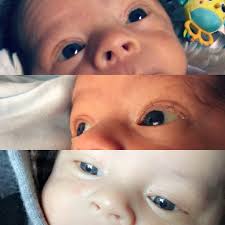 Ultimately, the color of a baby's eyes depends on two things: Questions For Parents With Brown Eyes Who Had Babies Born With Grey Blue Eyes Babycenter