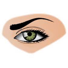 Publicdomainvectors Org Green Eye Illustration Eye Illustration Eyes Green Eyes