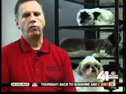 It is located at 54 notch road, duncannon, pa 17020. Freeze Drying Pets An Increasing Option Youtube