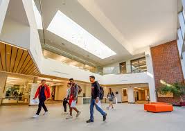 What was Muir thinking?