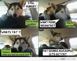 Pin On Funny