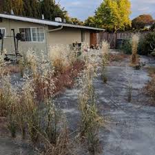 Jackie moore clean up your own yard. Frank S Yard Clean Up 67 Photos 102 Reviews Landscaping San Jose Ca Phone Number